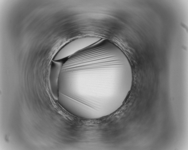 X0000095920241200802011219