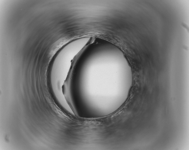 X0000095920242200802011219