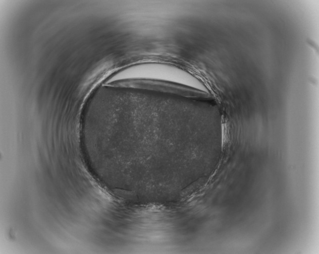 X0000095920243200802011219