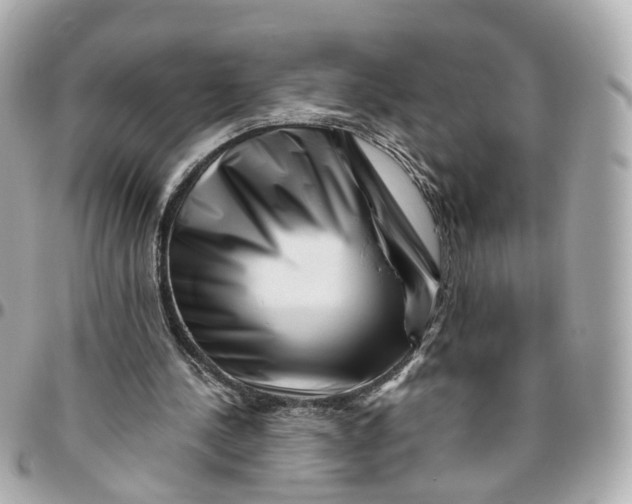 X0000095920244200802011219