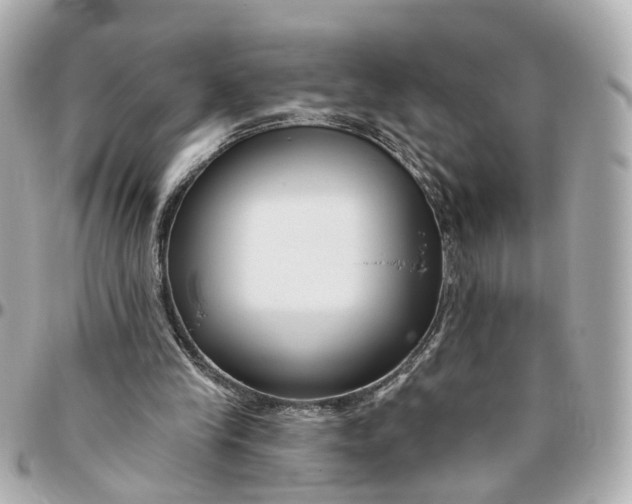 X0000095920245200802011219