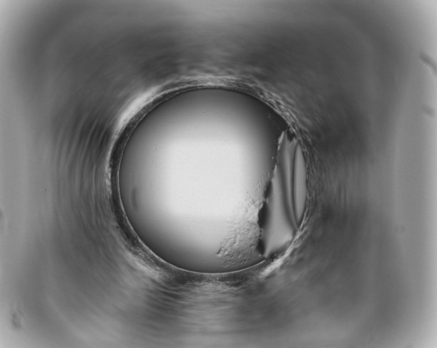 X0000095920246200802011219