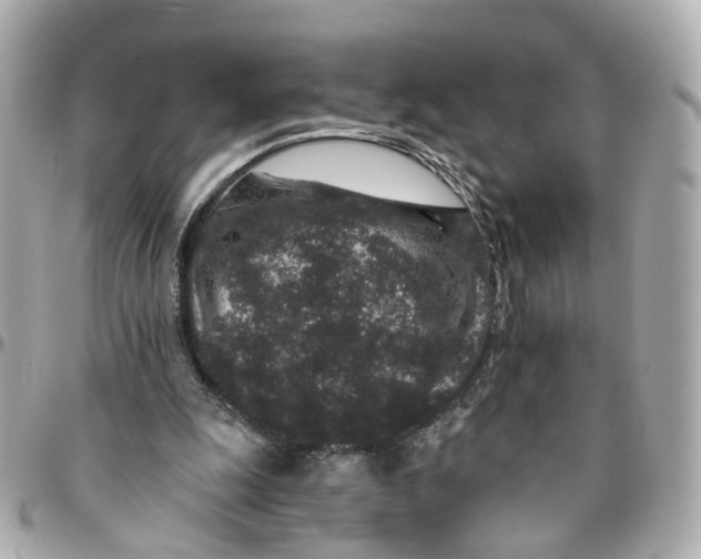 X0000095920247200802011219