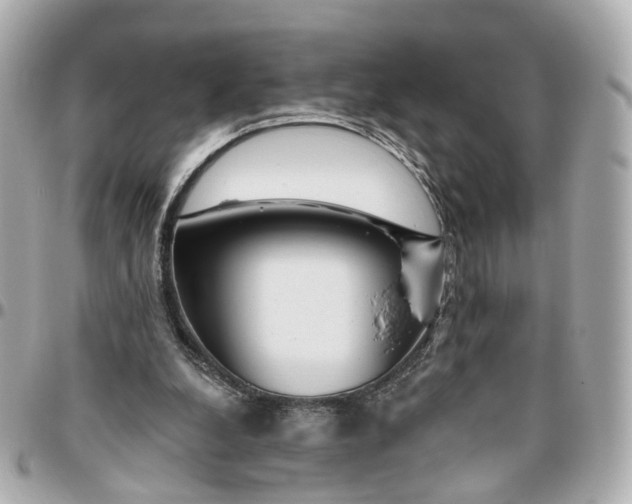 X0000095920248200802011219