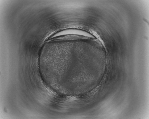 X0000095920249200802011219