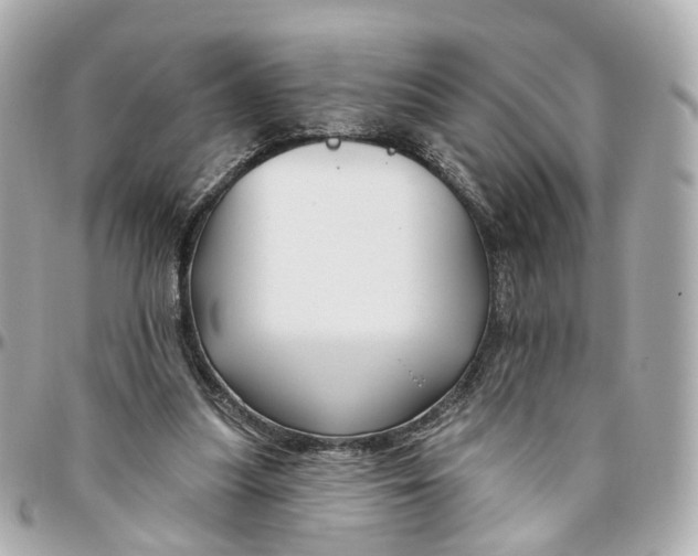 X0000095920251200802011219