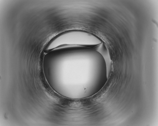 X0000095920252200802011219