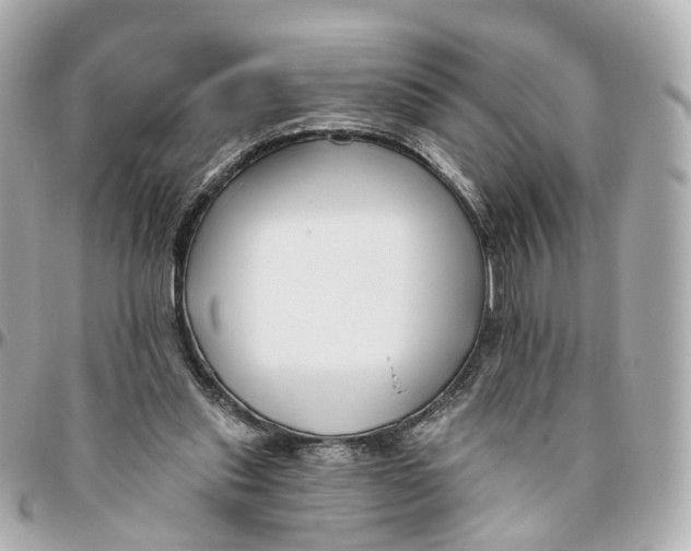 X0000095920253200802011219