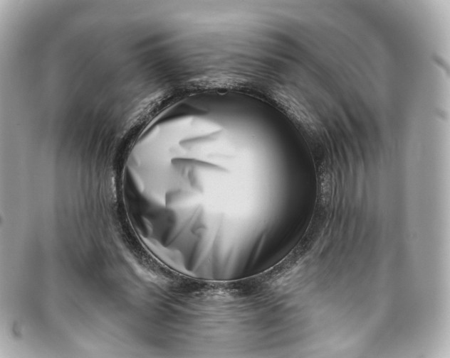 X0000095920254200802011219