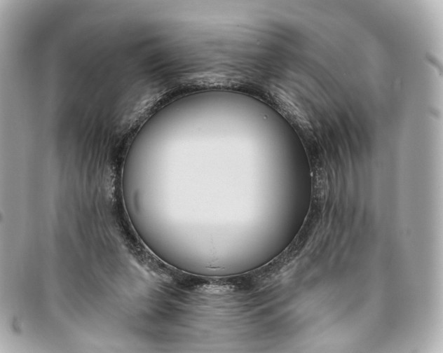 X0000095920255200802011219