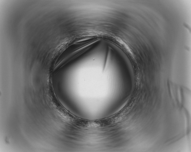 X0000095920257200802011219