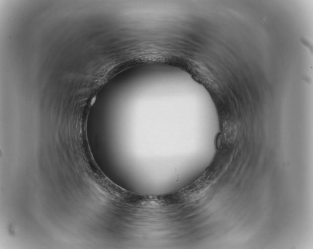 X0000095920259200802011219