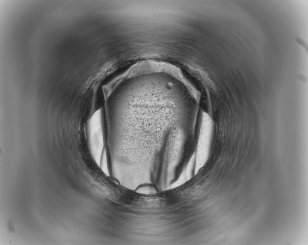 X0000095920260200802011219