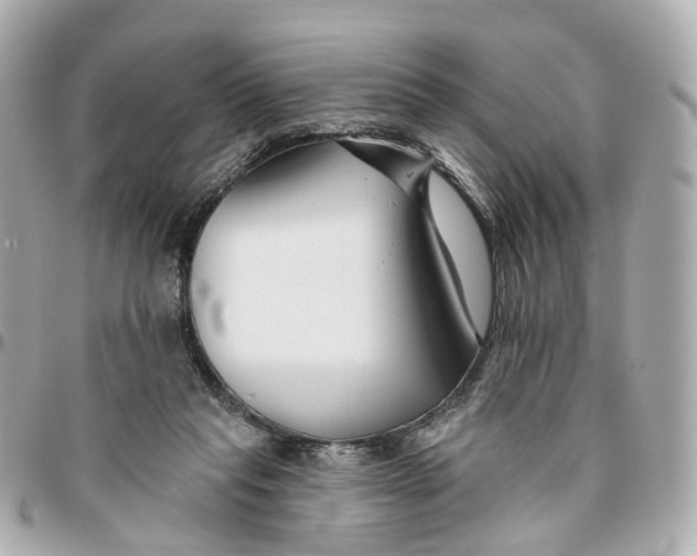 X0000095920261200802011219