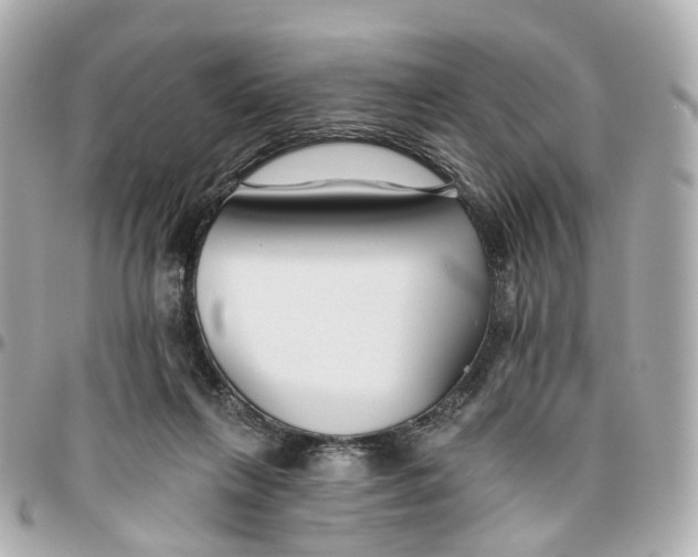 X0000095920263200802011219