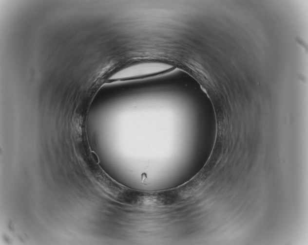 X0000095920264200802011219