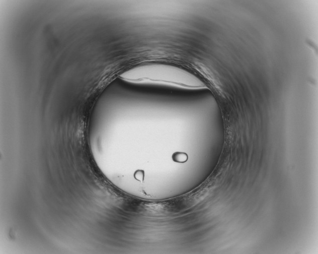 X0000095920265200802011219