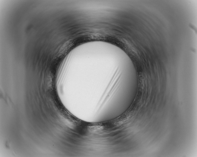 X0000095920266200802011219