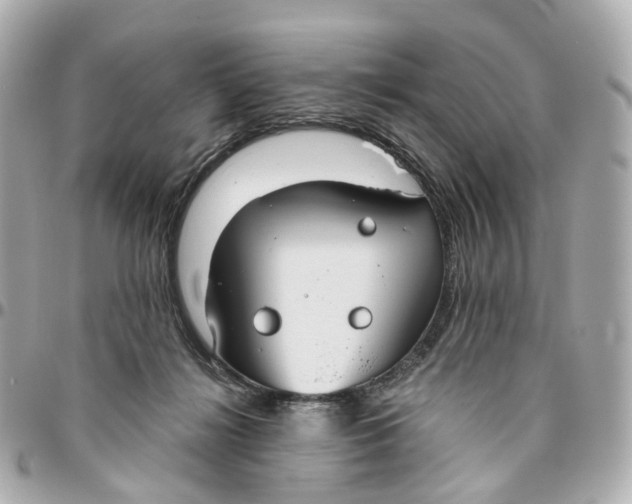 X0000095920268200802011219