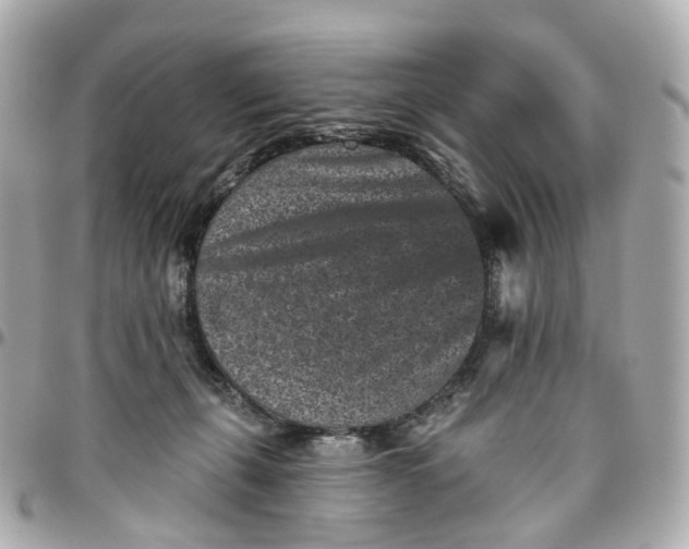 X0000095920271200802011219