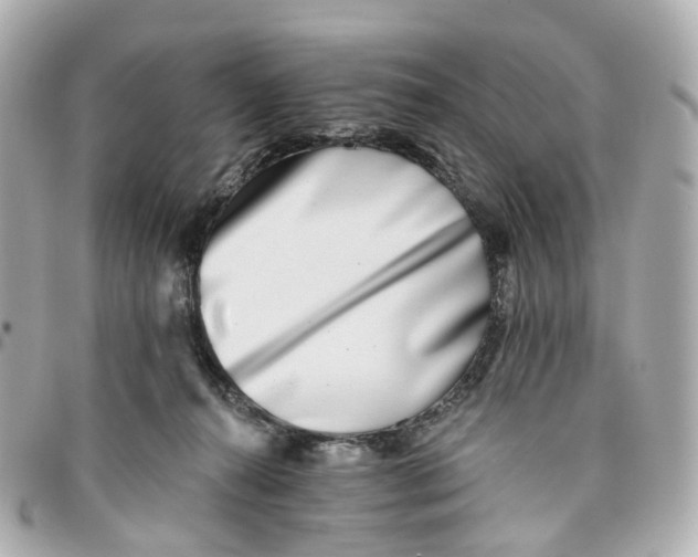 X0000095920272200802011219