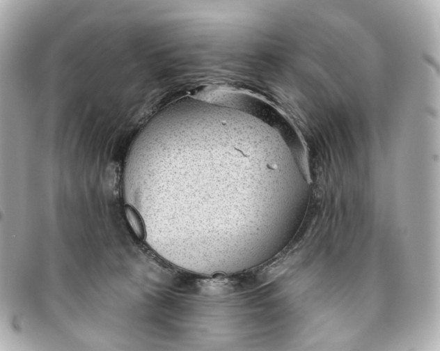 X0000095920273200802011219