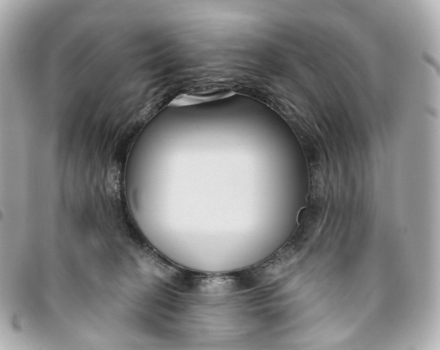 X0000095920274200802011219