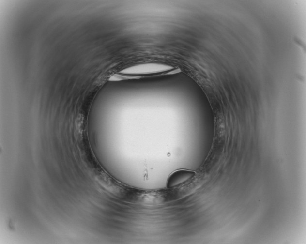 X0000095920275200802011219