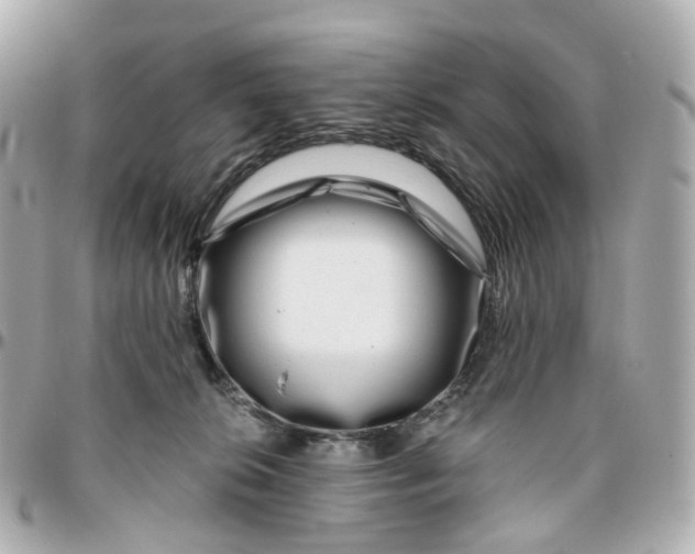 X0000095920276200802011219