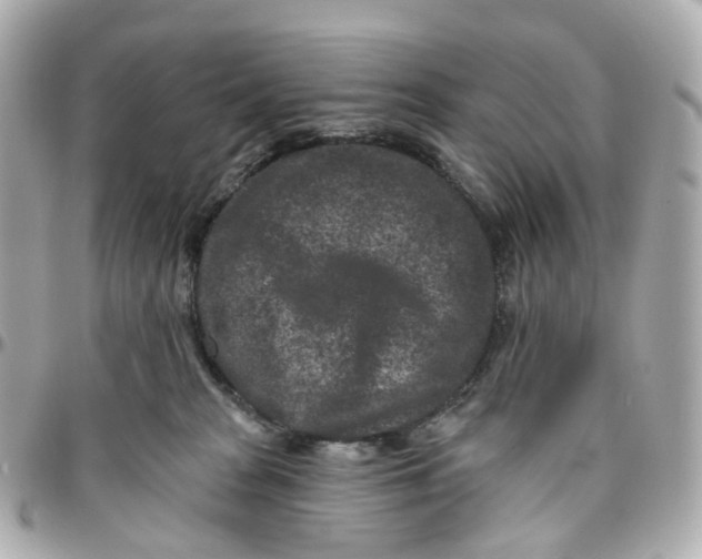 X0000095920277200802011219