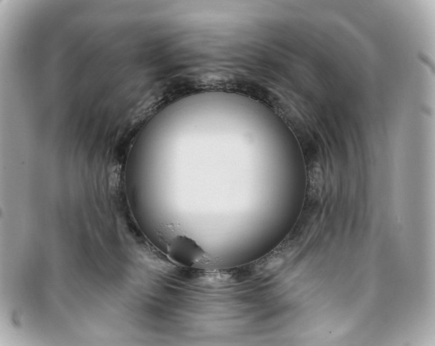 X0000095920278200802011219