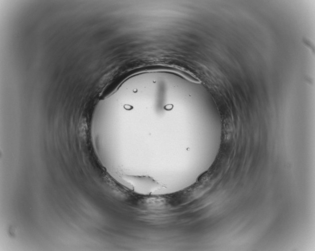 X0000095920279200802011219