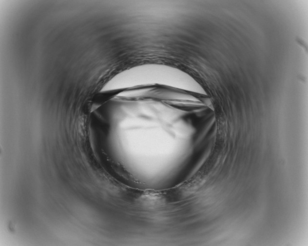 X0000095920280200802011219