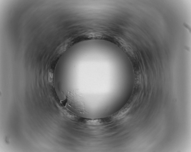 X0000095920281200802011219