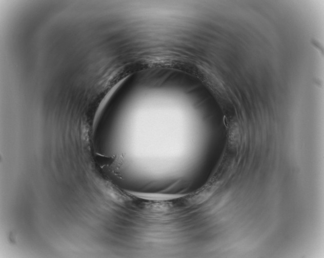 X0000095920282200802011219