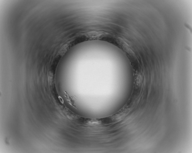 X0000095920283200802011219