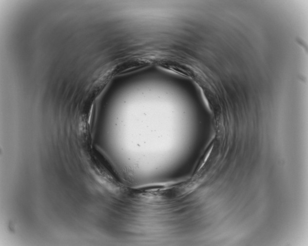 X0000095920284200802011219