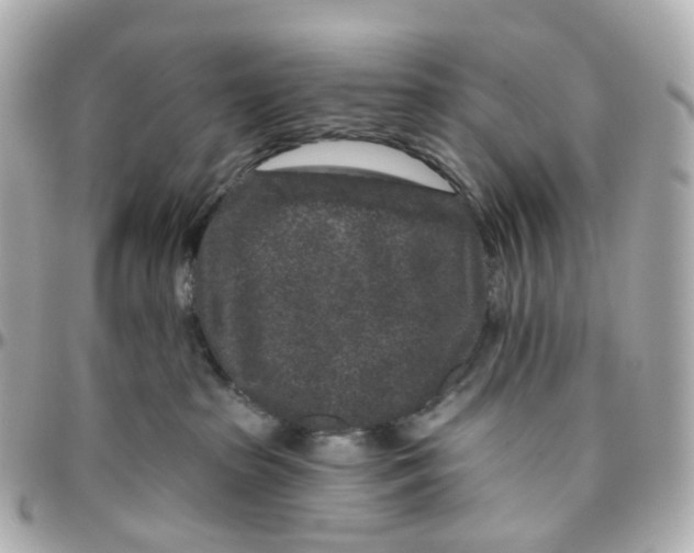 X0000095920285200802011219