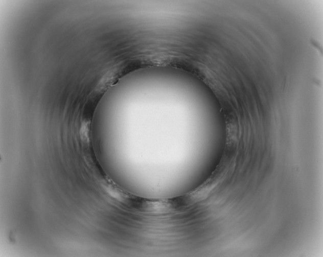 X0000095920286200802011219