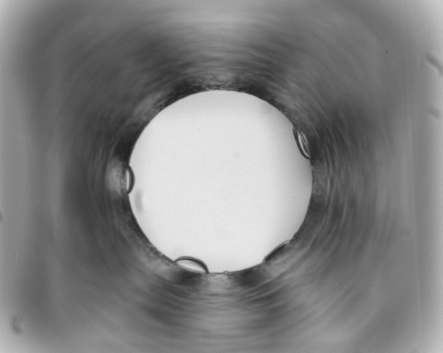 X0000095920287200802011219