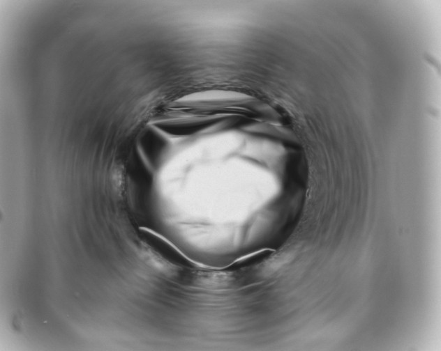 X0000095920288200802011219