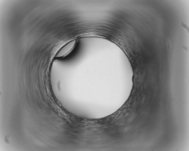 X0000095920289200802011219