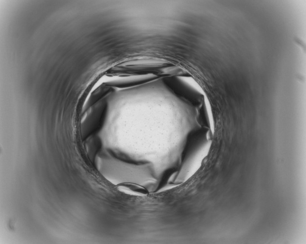 X0000095920290200802011219