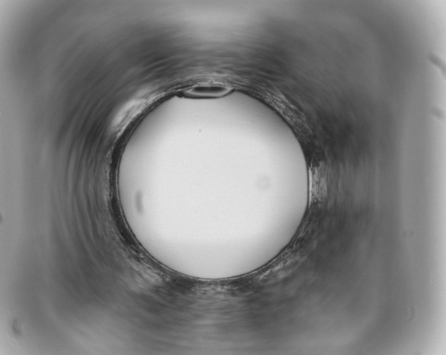 X0000095920291200802011219