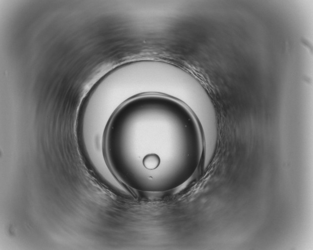 X0000095920292200802011219