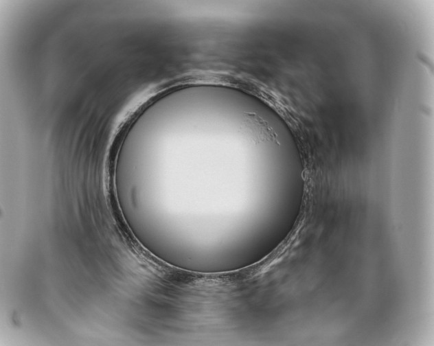 X0000095920294200802011219