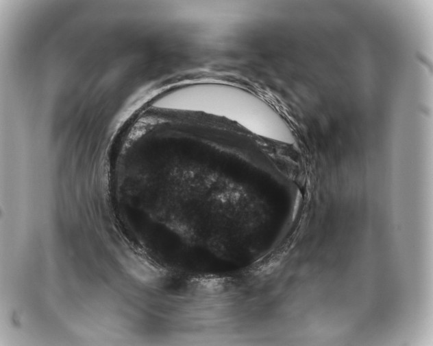 X0000095920295200802011219