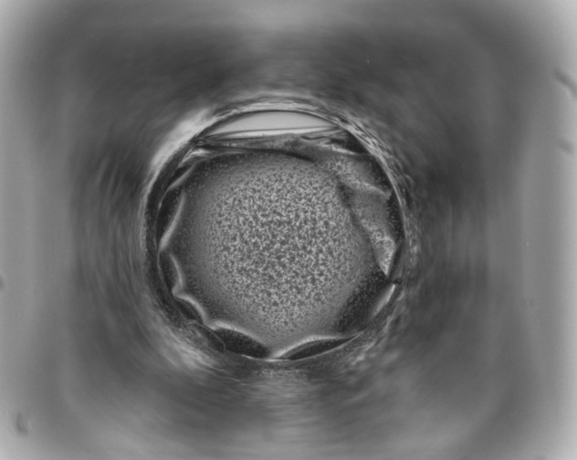 X0000095920296200802011219