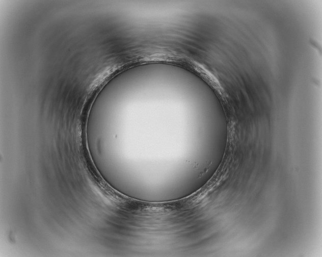 X0000095920298200802011219