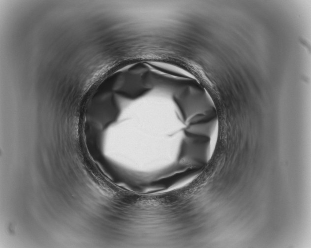 X0000095920299200802011219